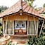 Padi Bali Eco Villas