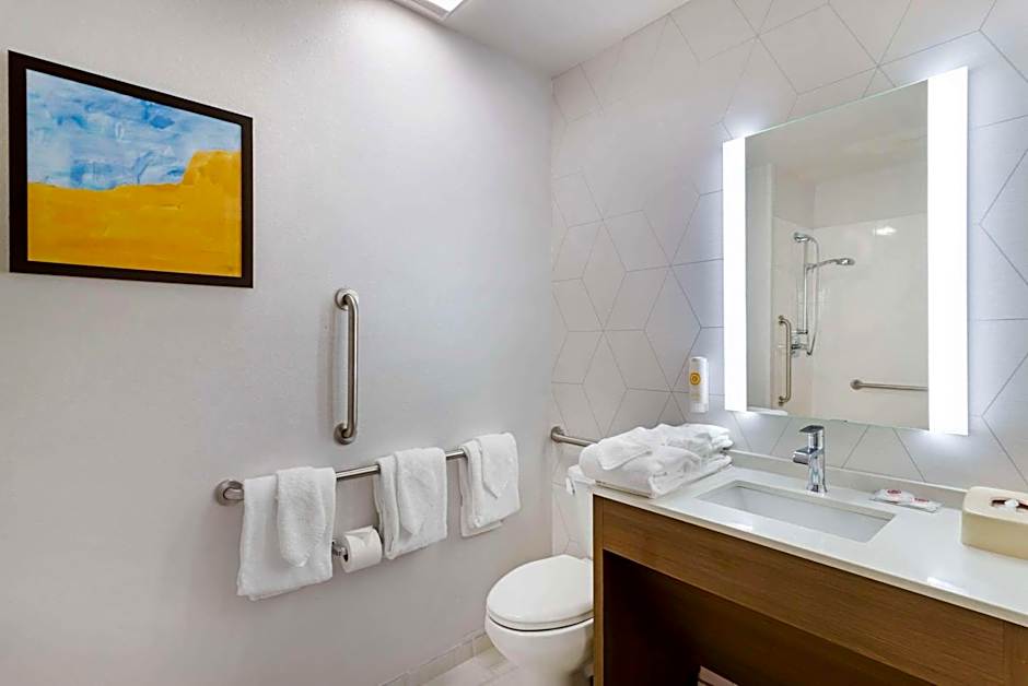 Comfort Suites Northside Hospital Gwinnett