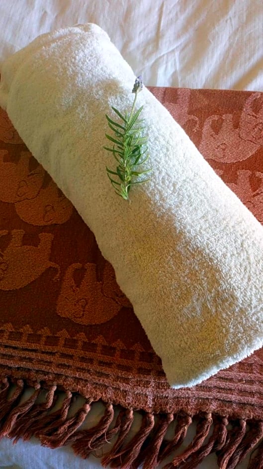 Spindlewood Barn Accommodation