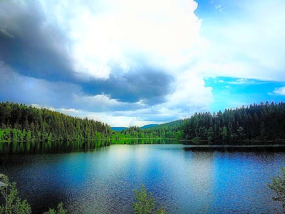 Forsters Schwarzwald Hof - Resort-Hotel&Pension