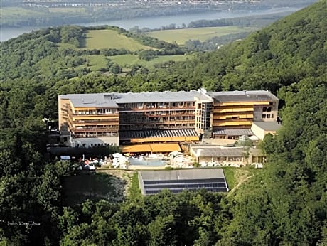 Silvanus Wellness and Conference Hotel