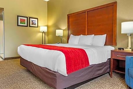 King Room - Disability Access/Non-Smoking