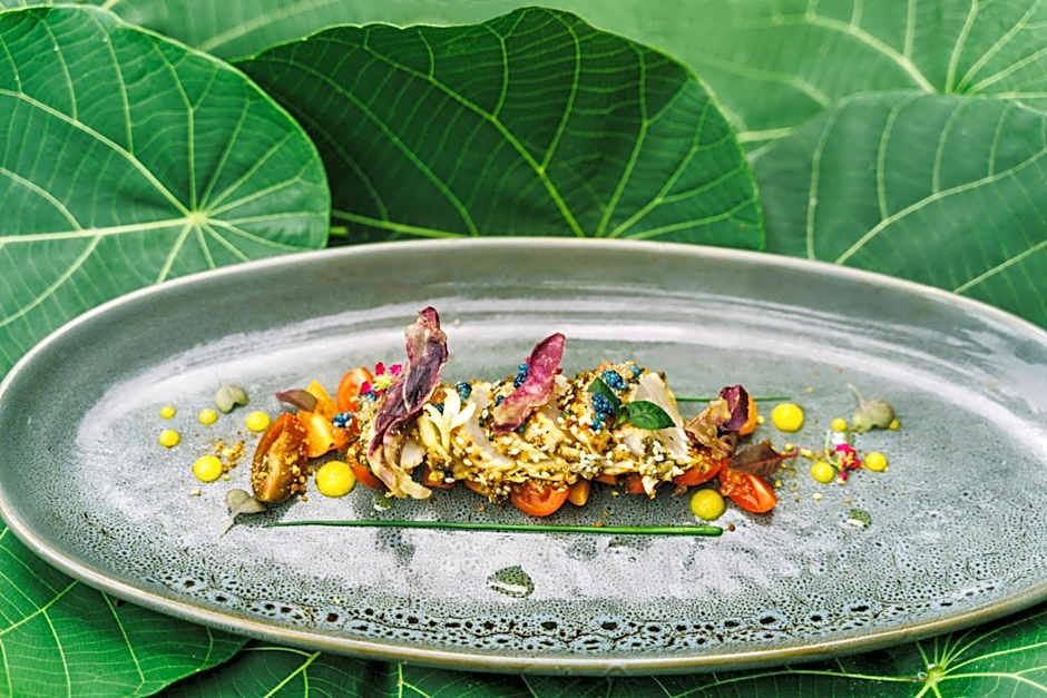 Elysian Luxury Eco Island Retreat