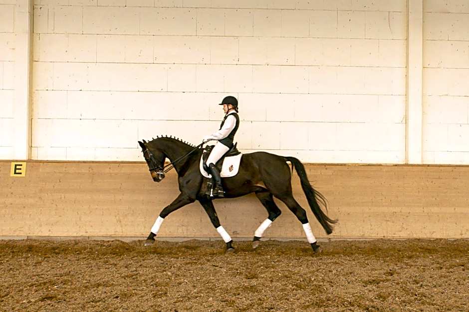 Boutique Hotel Gut Tribbevitz