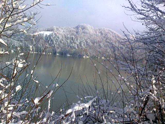 Complex Turistic Caprioara