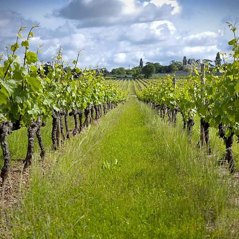 Domaine de la Soucherie - Chambres d'hôtes