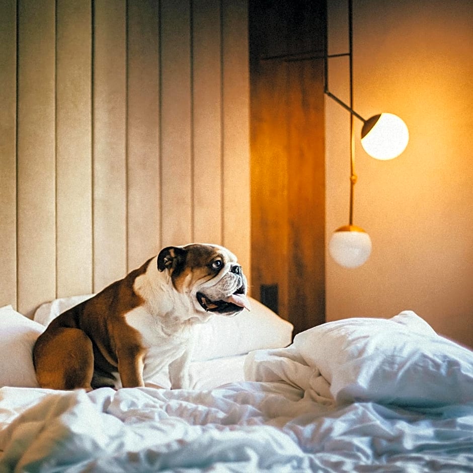 ICON Casona 1900 by Petit Palace