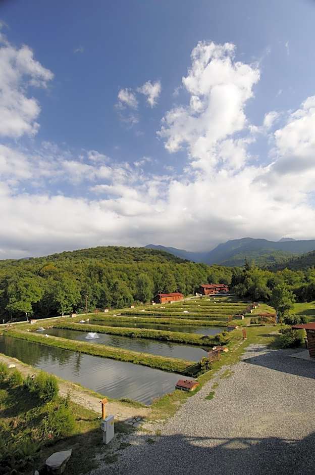 Complex Pastravaria Albota