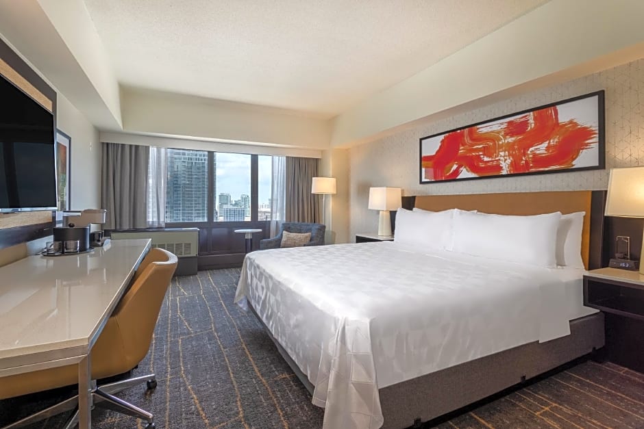 Photo 1 of 2 of Premium 1 King Bed, City View
