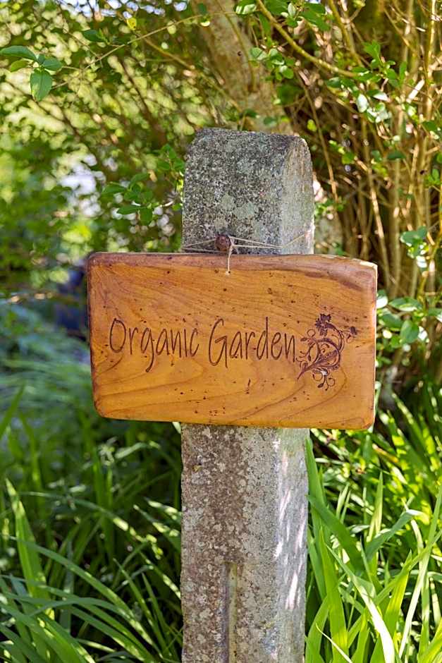 The Common Knowledge Centre