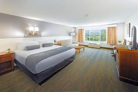 Mountain View King Room