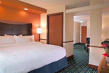 Suite, 1 King Bed with Sofa bed (1 King Bed and 1 Double Sofa Bed)