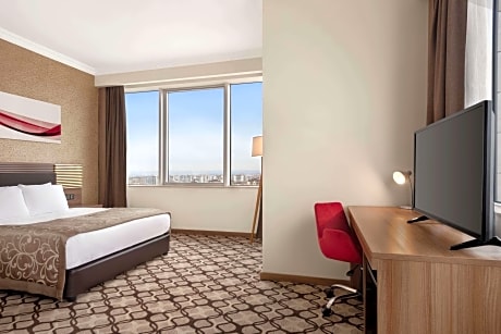 1 Queen Bed City View Smoking