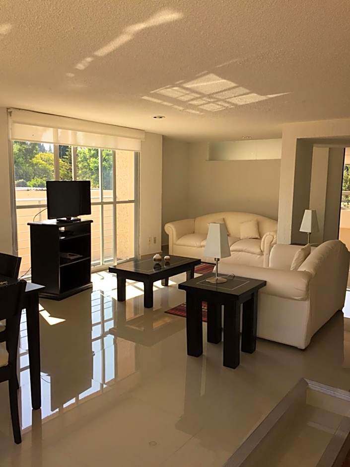 Bosque de Magnolias 93