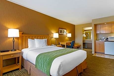 Queen Room - Non-Smoking