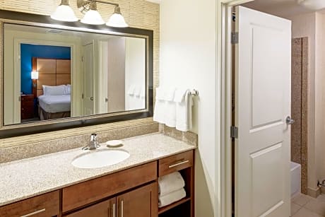 Studio, 1 King Bed with Sofa bed (1 King Bed and 1 Double Sofa Bed)