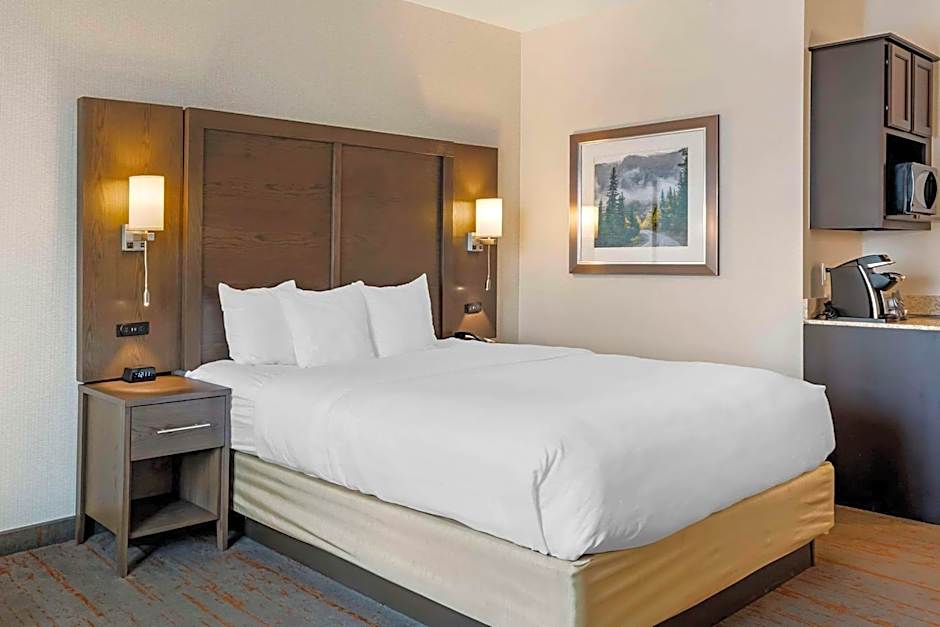 Comfort Inn & Suites Brighton Denver NE Medical Center