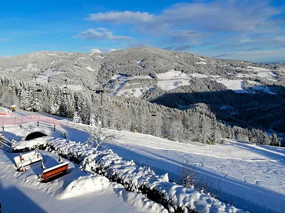Alpengasthof Fernblick