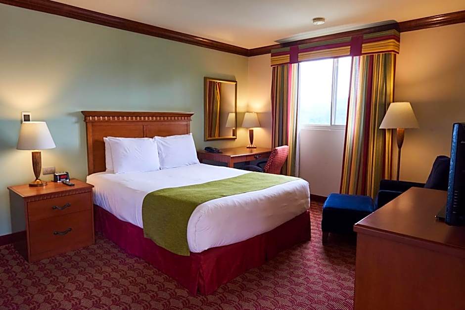 Photo 1 of 1 of 1 Queen Bed Suite