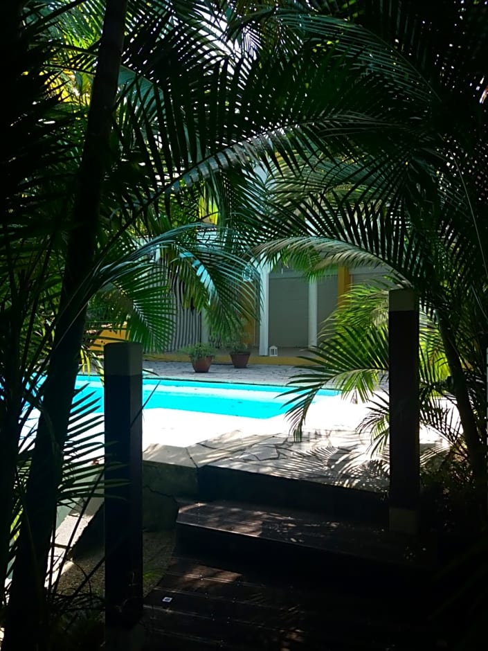 Chambre d'hôte et Loft dans maison de charme piscine à débordement La Villa Gialla