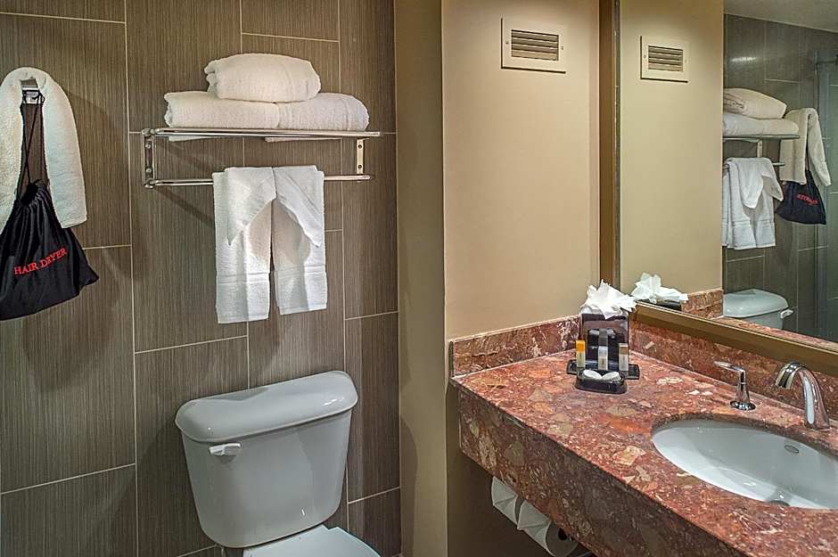 HoteLumière at the Arch Hotel & Casino - A Caesars Rewards Destination