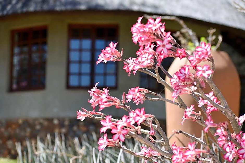 MILIMA Big 5 Safari Lodge