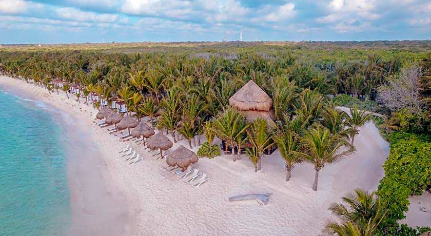 El Dorado Seaside Palms - Catamaran, Cenote & More Inclusive- Adults Only