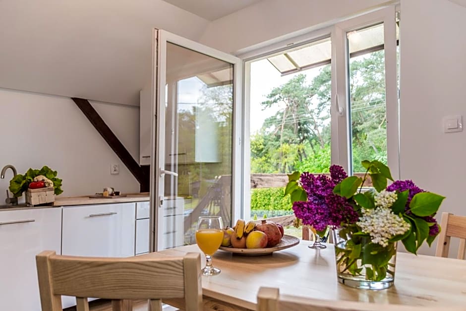 Jantar, dom blisko plaży z sauną