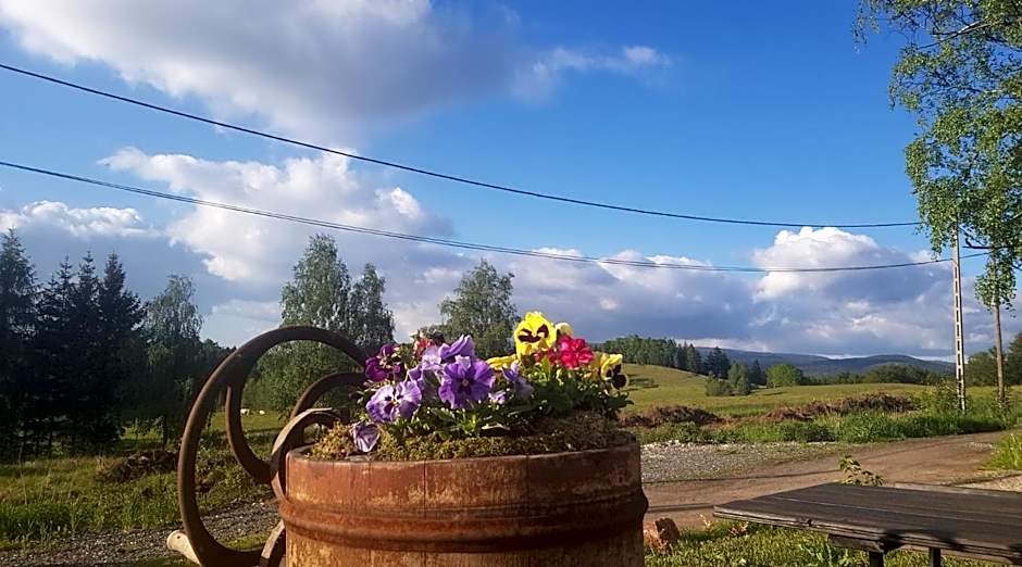 Pokoje Gościnne Art- Dworek