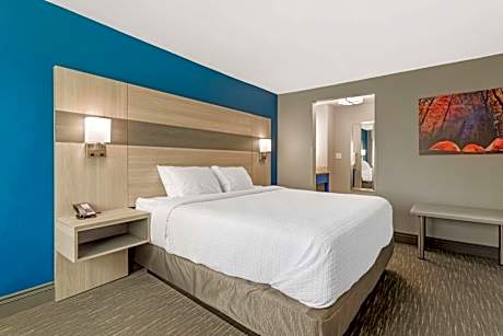 Suite-1 King Bed Non-Smoking Separate Bedroom Sofabed Full Kitchen Microwave And Refrigerator Wi-Fi