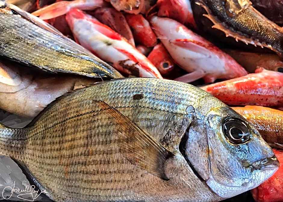 Albergo Ristorante Saverino