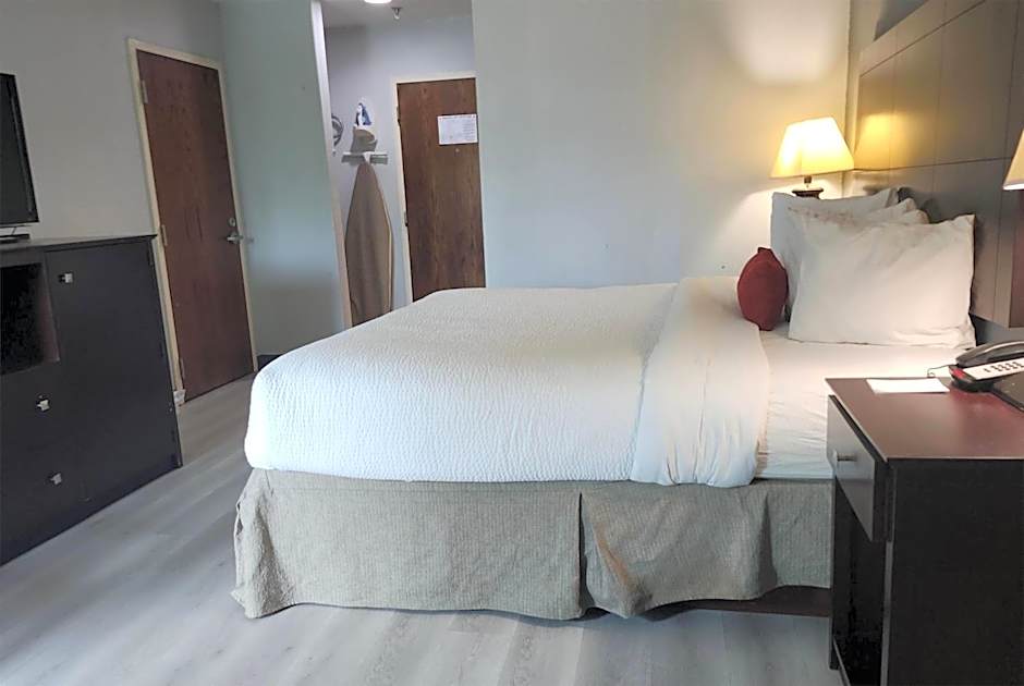 Photo 1 sur 6 de 1 King Bed, Mobility Accessible
