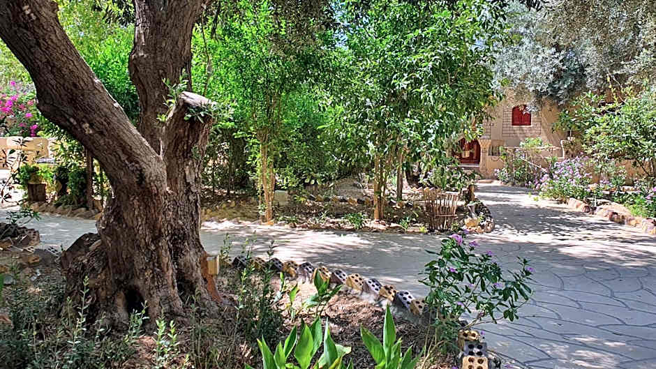 Mountain Camp Ali Khaled