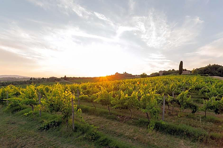Tenuta Di Monaciano