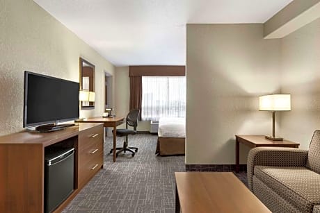 1 Queen Bed Mobility Accessible Room Non-Smoking