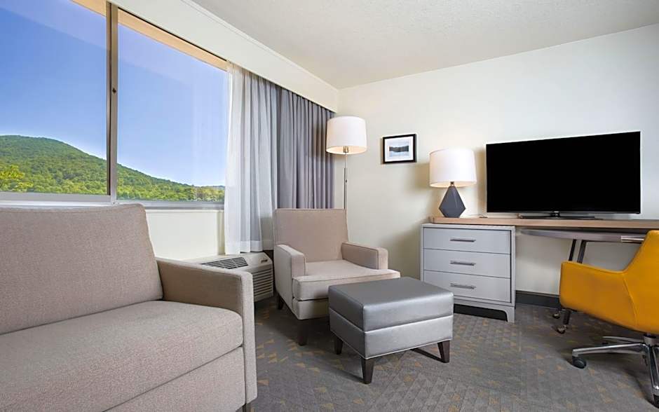Holiday Inn Asheville East-Blue Ridge PKWY