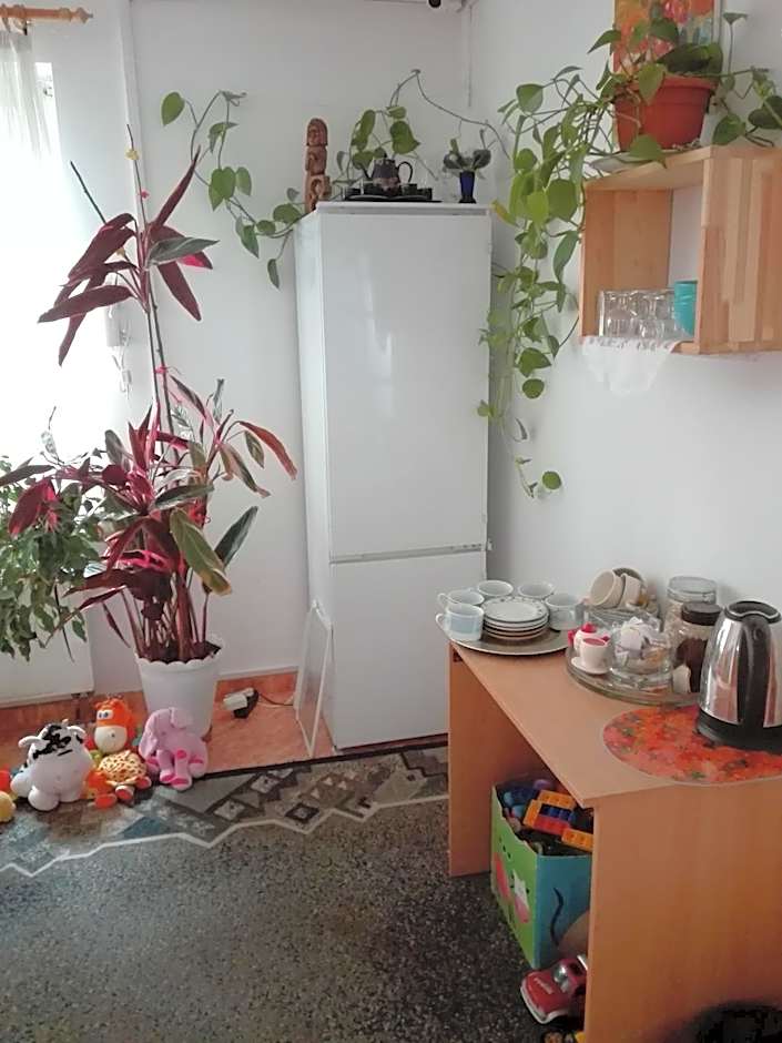 Hostel Madeira