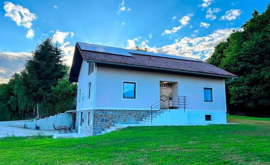 Rooms and apartments Biš