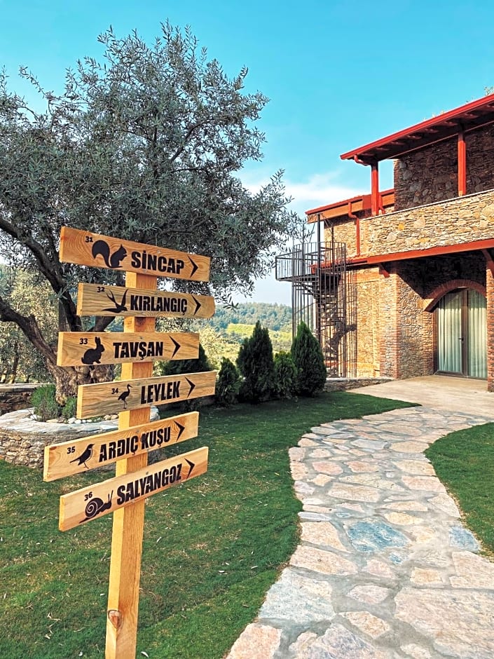 EPHESUS RETREAT