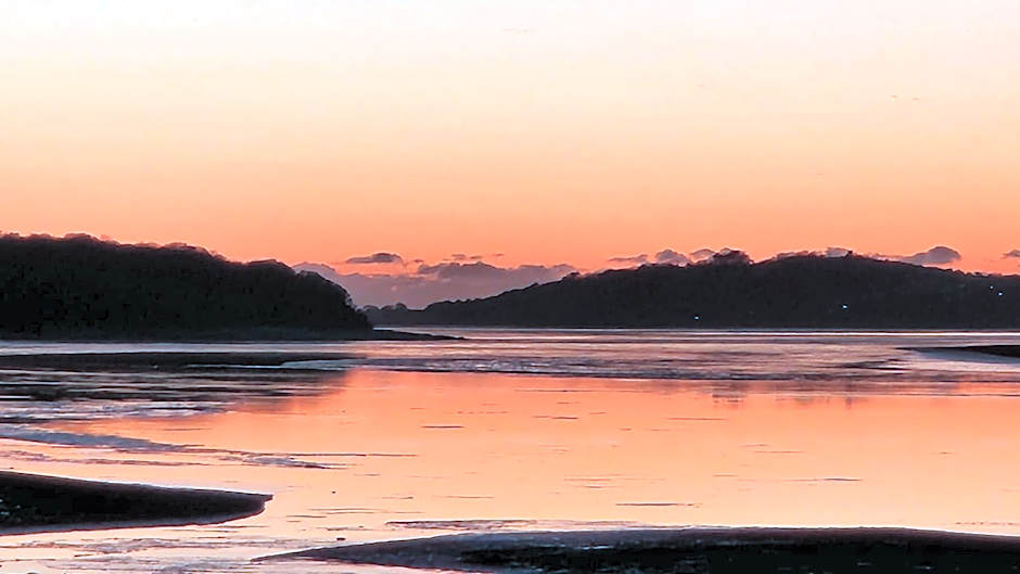 Ye Olde Fighting Cocks