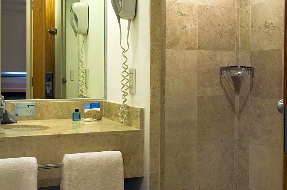 One Queretaro Plaza Galerias