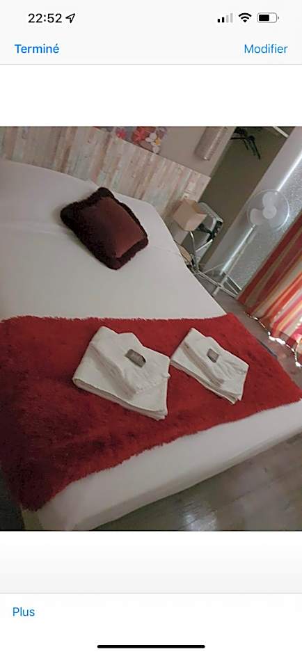 Théâtre Hôtel Chambéry