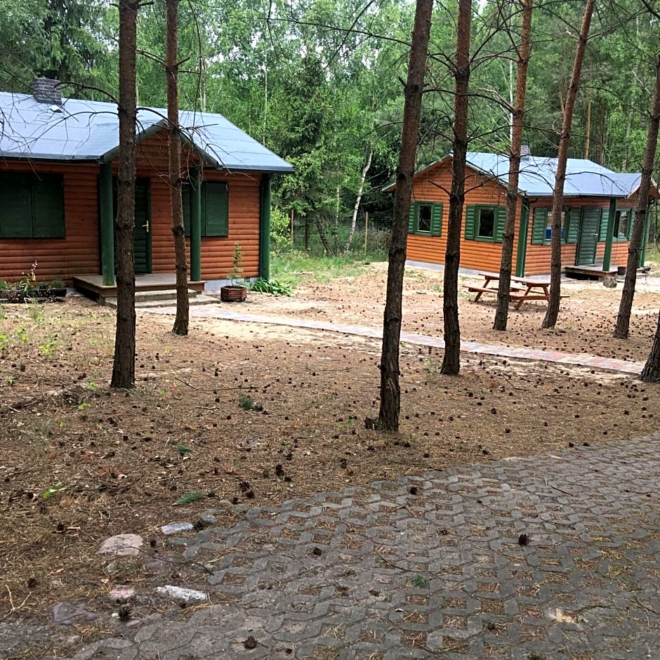 Agroturystyka Oaza Ciszy i Spokoju