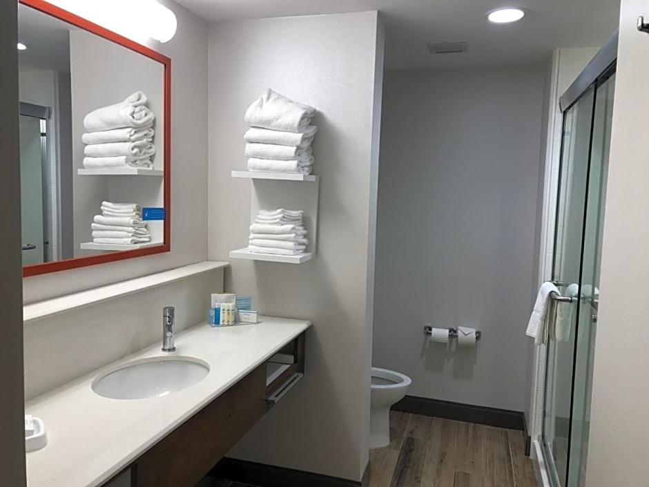 Hampton Inn & Suites Philadelphia/Media