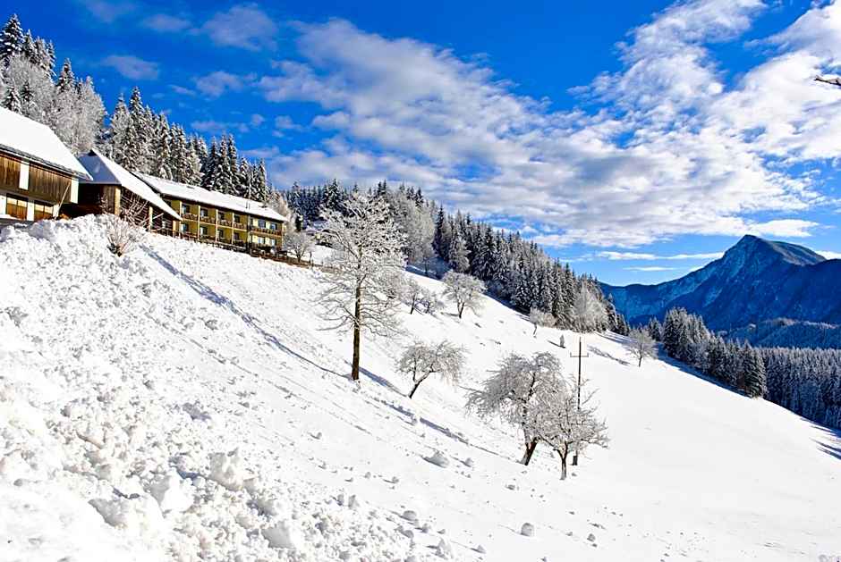 Bed&Breakfast Lausegger