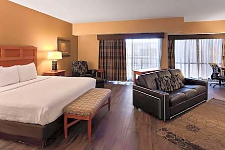 1 King Bed Deluxe Suite Pool View Non-Smoking