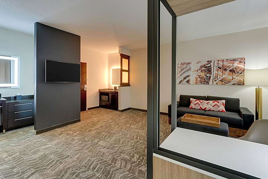 SpringHill Suites by Marriott Birmingham Downtown at UAB