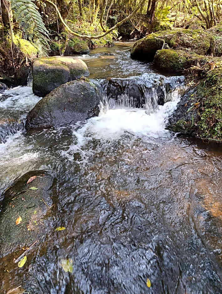 Pousada Gota de Orvalho