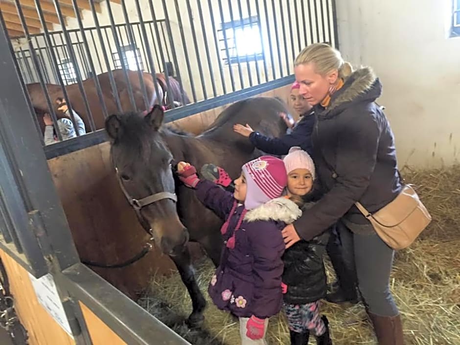 Caballus Lovasmajor Panzió