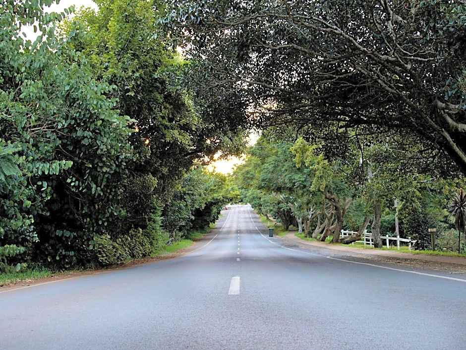 Mountain Sanctuary B&B